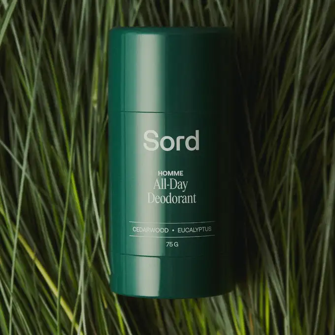 Sord All-Day Deodorant - Dezodorant w sztyfcie o zapachu drzewa cedrowego i eukaliptusa 75g
